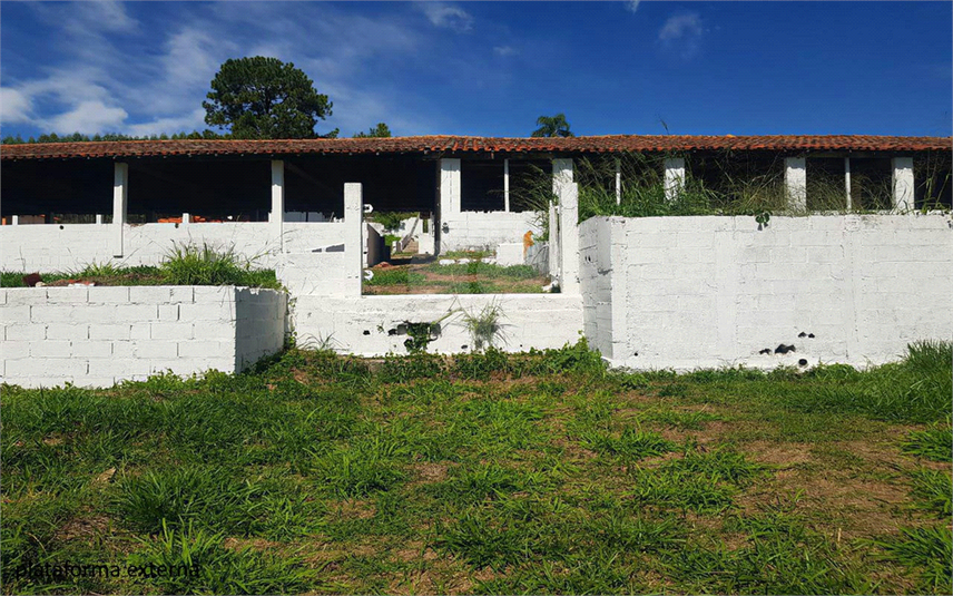 Foto REO1107899