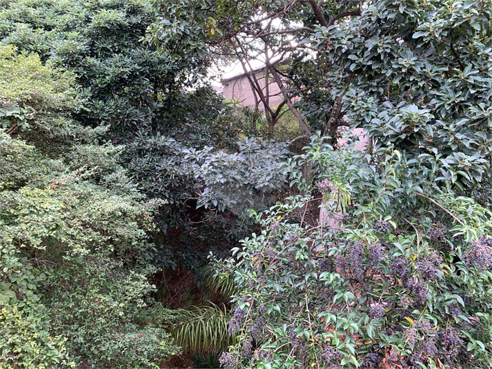Foto REO1107934