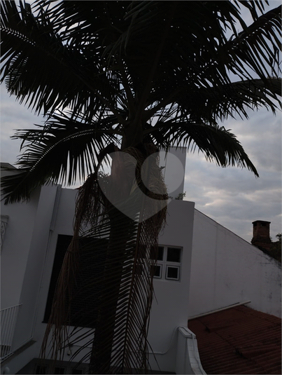 Foto REO1107935