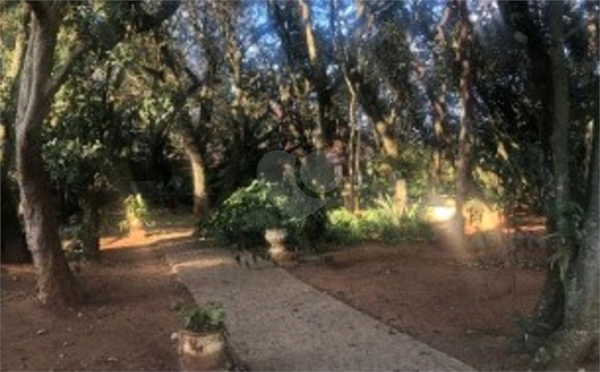 Foto REO1107945
