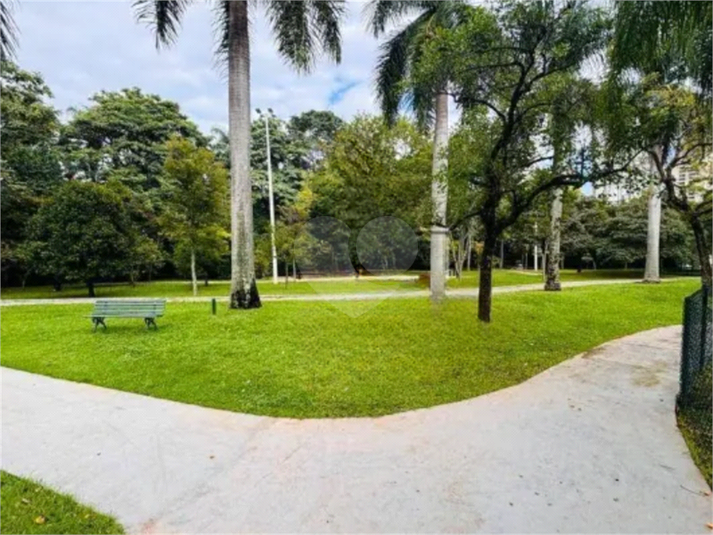 Foto REO1107953