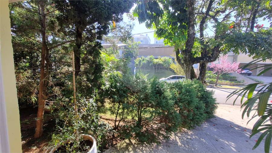 Foto REO1107953