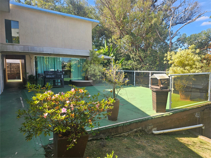 Foto REO1107957