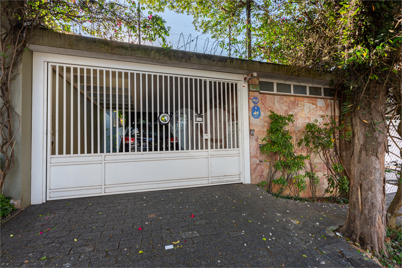 Foto REO1107969