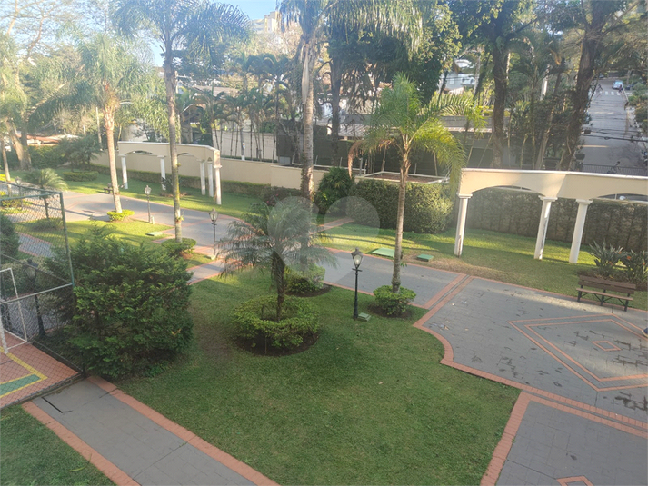 Foto REO1107979