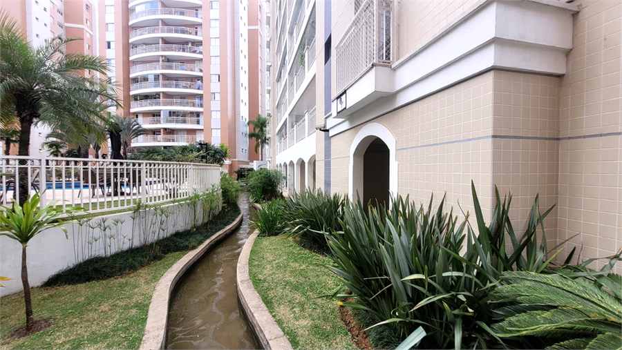 Foto REO1107987