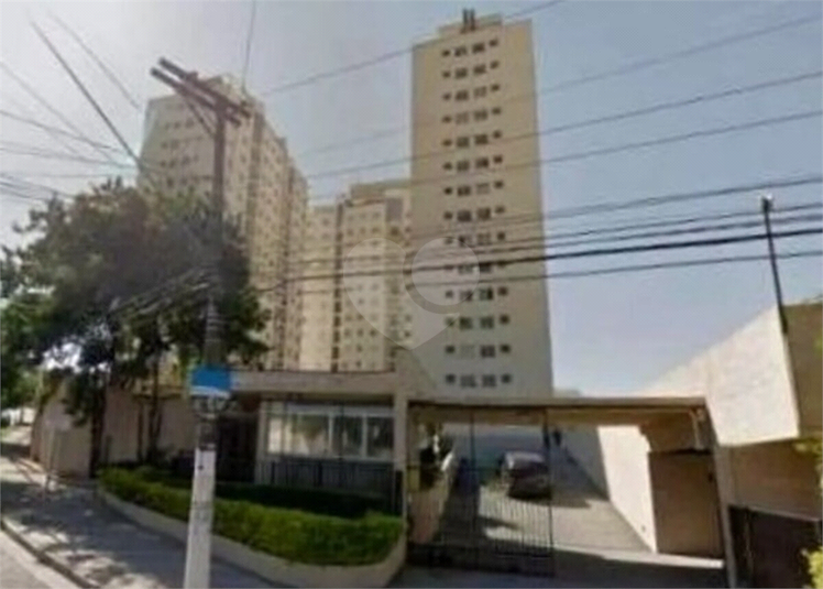 Foto REO1107998