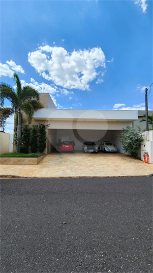 Foto REO1108043