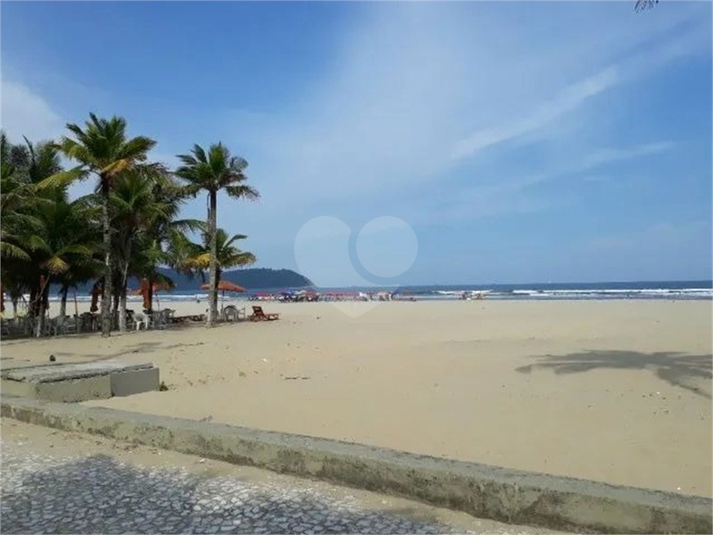 Foto REO1108047