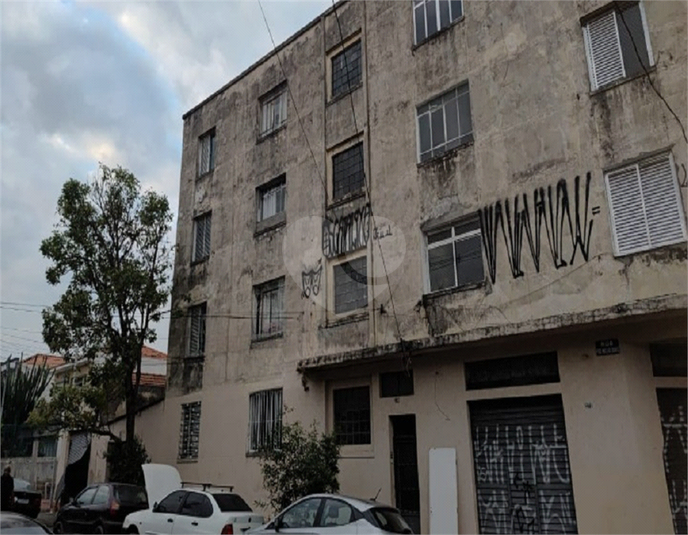 Foto REO1108049