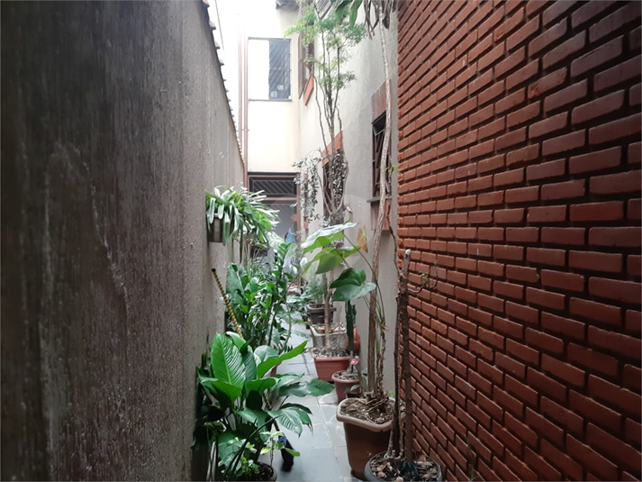 Foto REO1108066