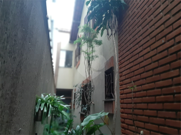 Foto REO1108066