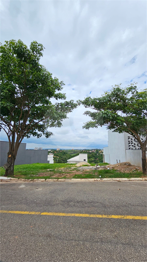 Foto REO1108077