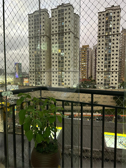 Foto REO1108091