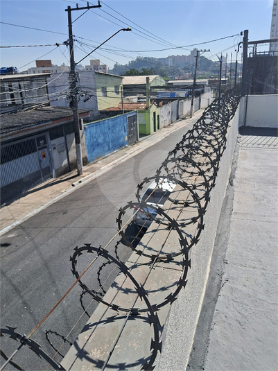 Foto REO1108145