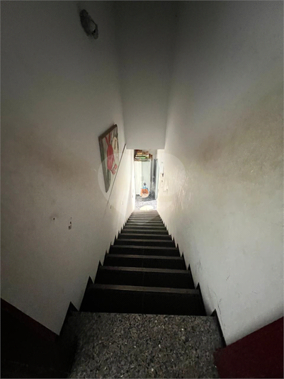 Foto REO1108157