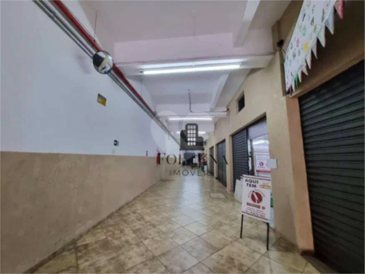 Foto REO1108170