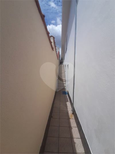Foto REO1108176
