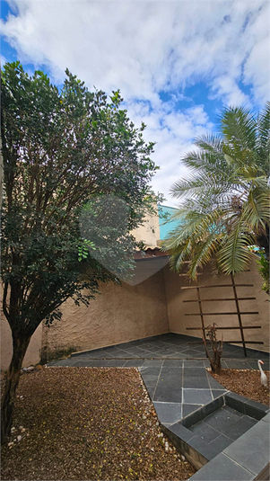 Foto REO1108185