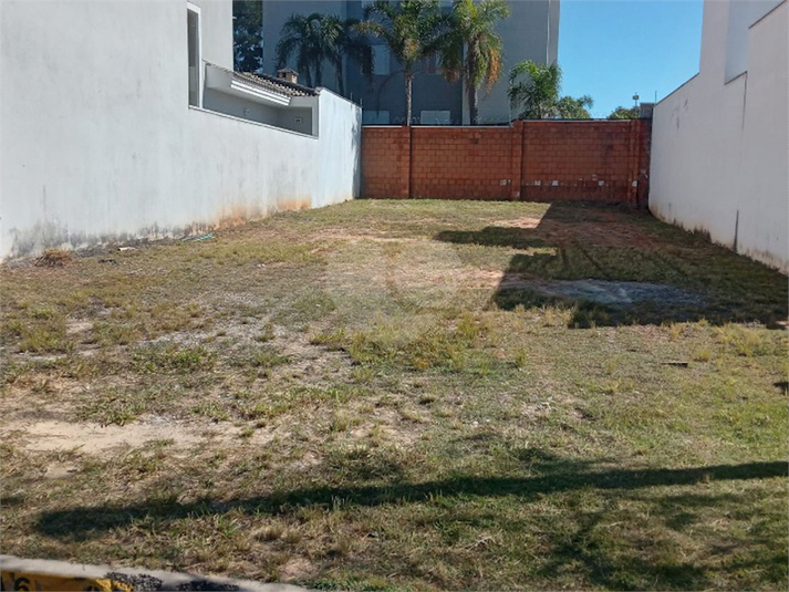 Foto REO1108195