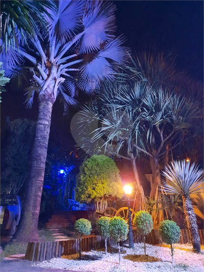 Foto REO1108199