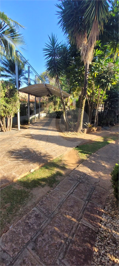 Foto REO1108199