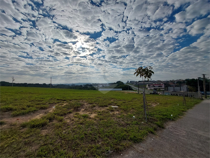 Foto REO1108232