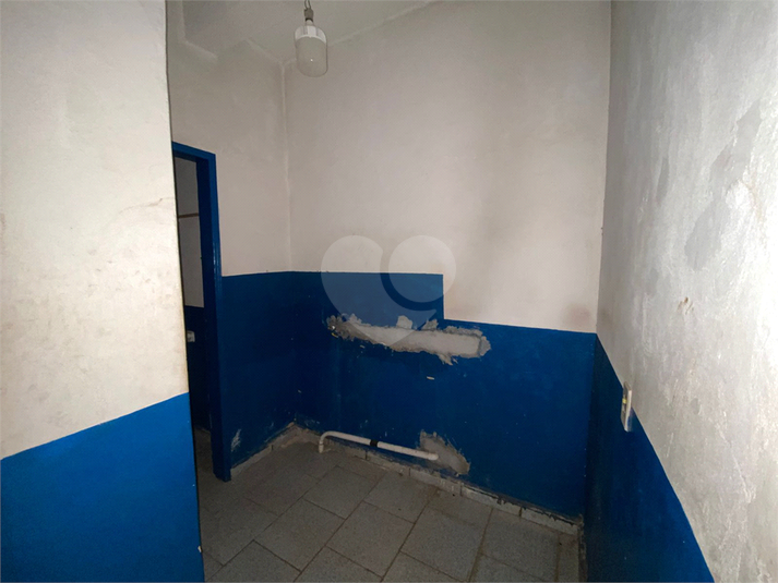 Foto REO1108238