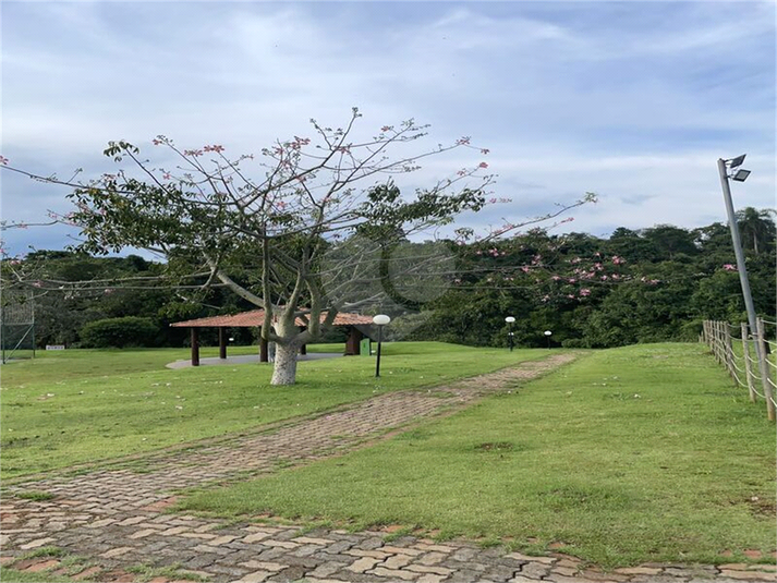 Foto REO1108252