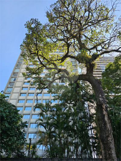 Foto REO1108254