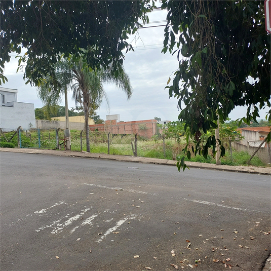 Foto REO1108262