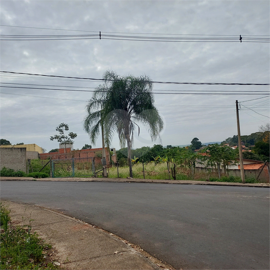 Foto REO1108262