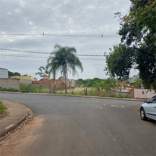 Foto REO1108262