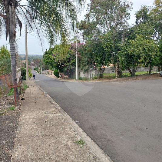 Foto REO1108262
