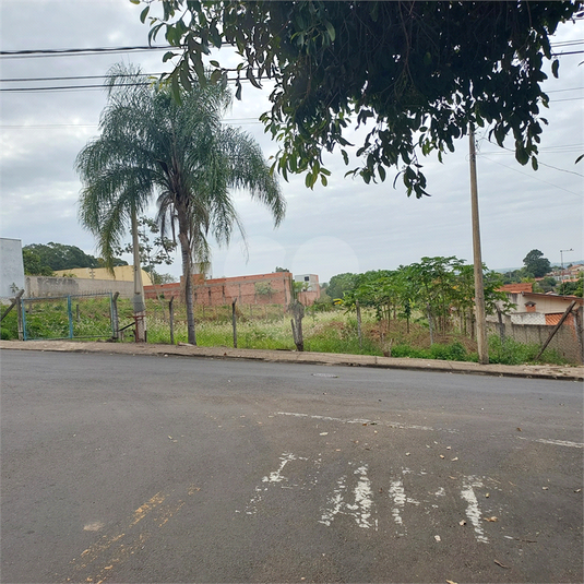 Foto REO1108262