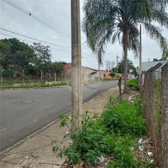 Foto REO1108262