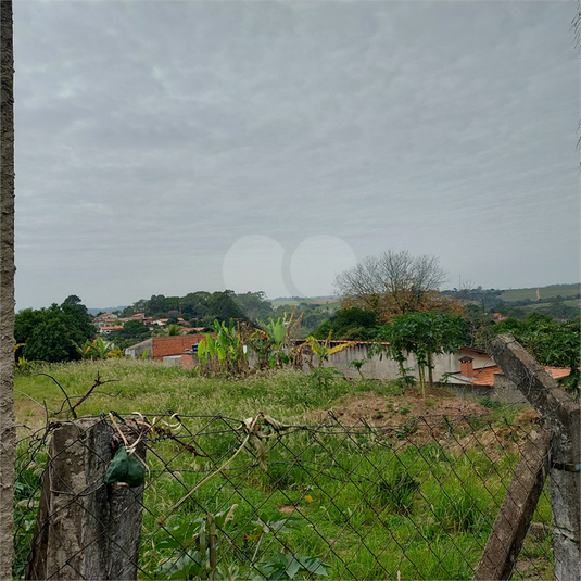 Foto REO1108262