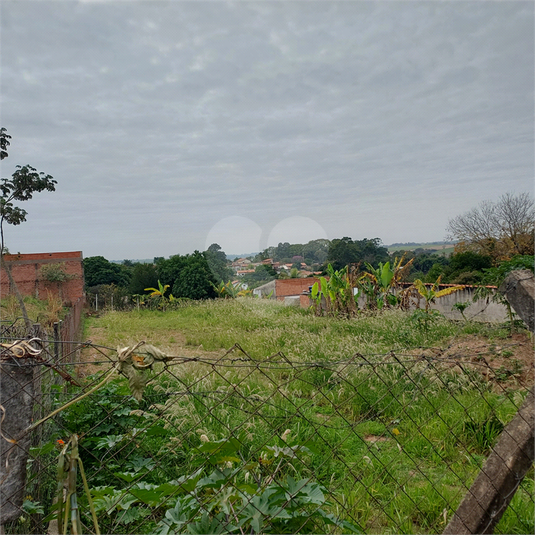 Foto REO1108262