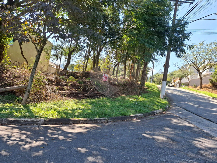 Foto REO1108267