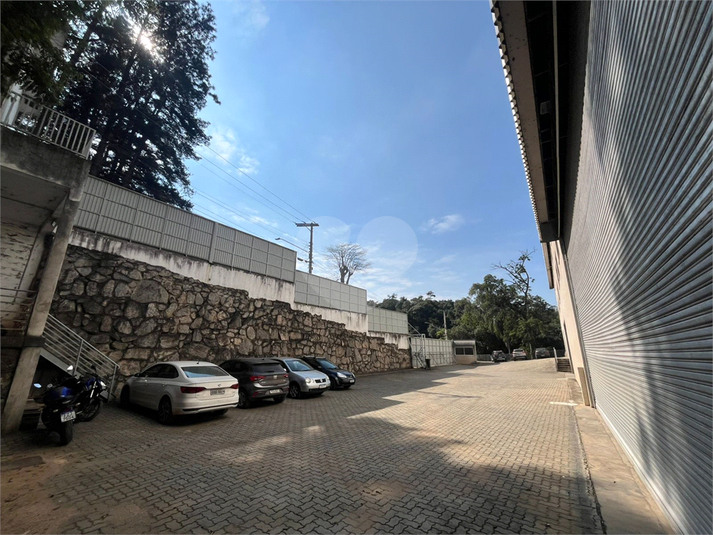 Foto REO1108269