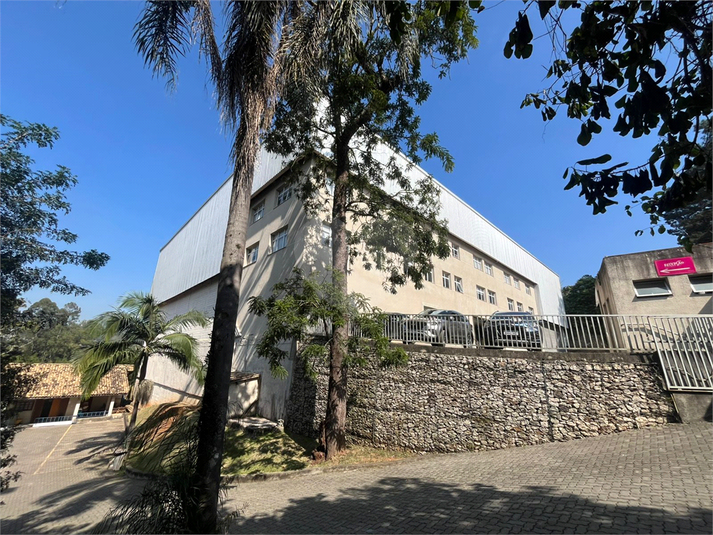 Foto REO1108269