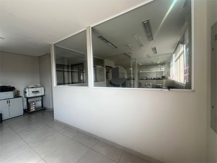 Foto REO1108269