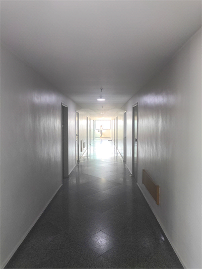 Foto REO1108280