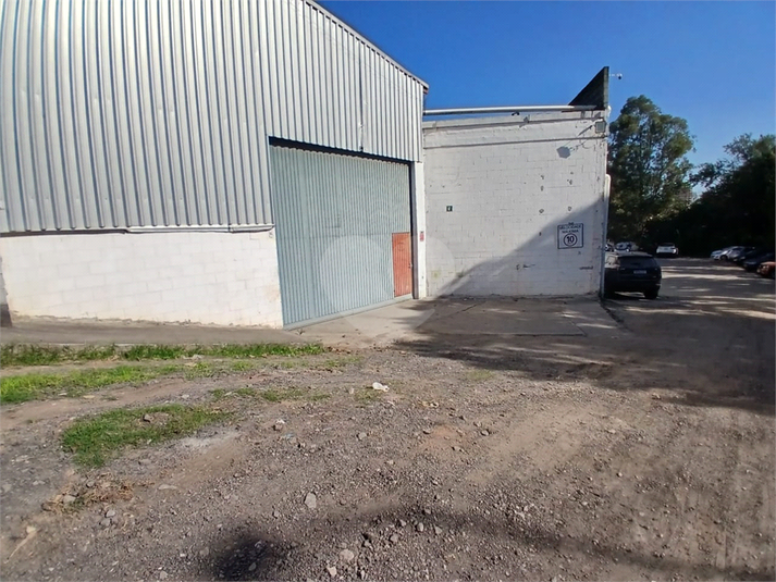 Foto REO1108288