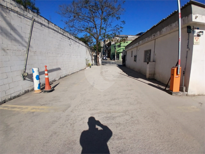 Foto REO1108288