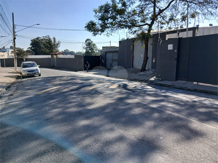 Foto REO1108291