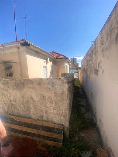 Foto REO1108296