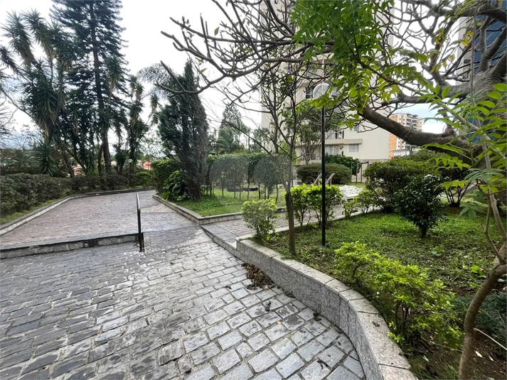 Foto REO1108300
