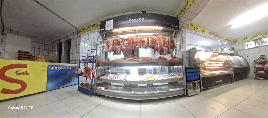 Foto REO1108302