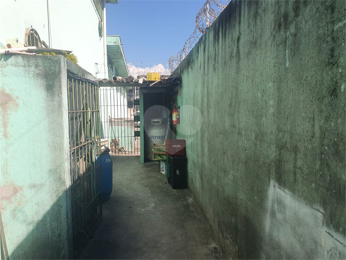 Foto REO1108302